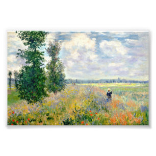 Foto Campos de adormidera cerca de Argentina por Claude