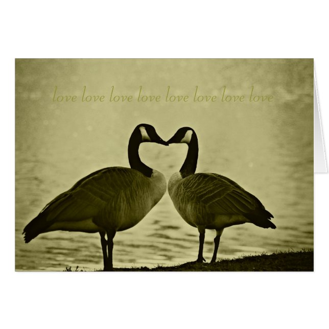 Foto canadiense de los gansos (Anverso (Horizontal))