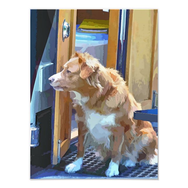 FOTO CANAL BOATS (Frente)