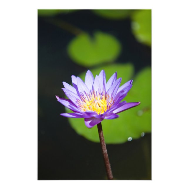 Foto Cancún, México (Frente)