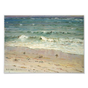 Foto Cangrejos en la playa por D. Howard Hitchcock
