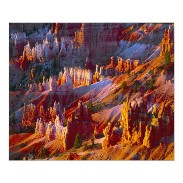 Foto Cañón Bryce, Utah, Estados Unidos 2 (Frente)