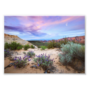 Foto Cañón de Nieve Sunrise WildFlores Paisajes Fotog