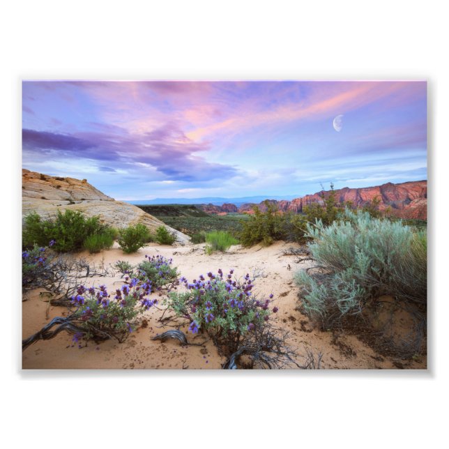 Foto Cañón de nieve Sunrise Wildflowers Paisaje Fotogra (Frente)