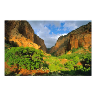 Foto Cañón Kolob en Zion Canyon en Zion National