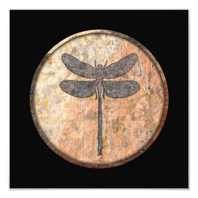 Foto Cañones hablantes de libélula, Nuevo México (Frente)