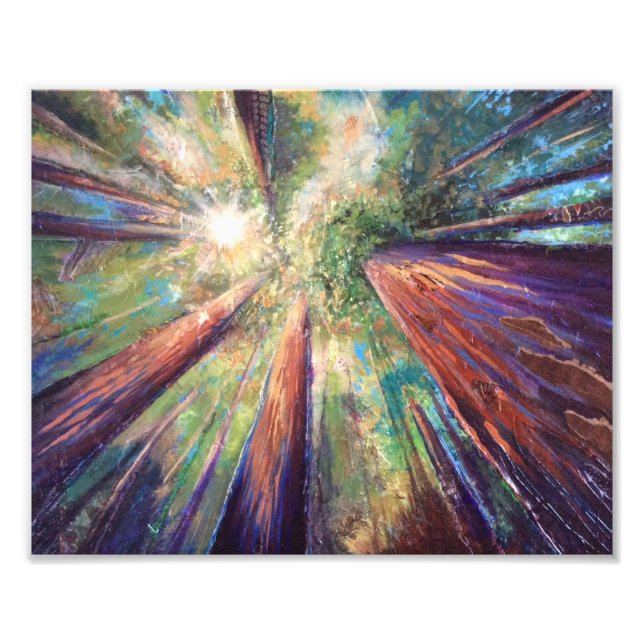 Foto Canopa de secuoya (Frente)