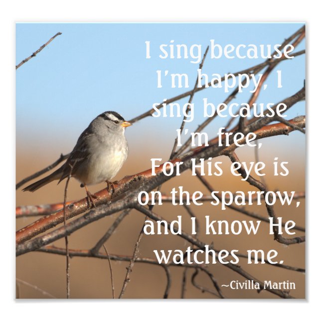 Foto Canto porque soy feliz Sparrow (Frente)