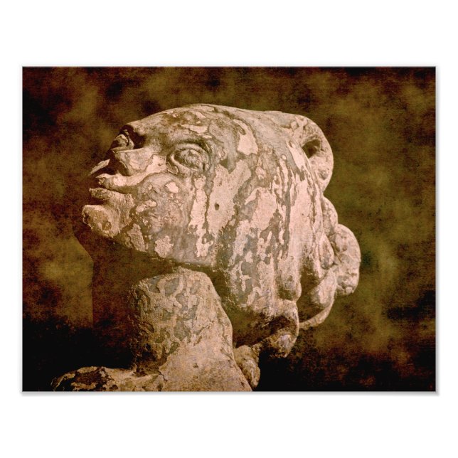 Foto Captura de cabeza de Mermaid (Frente)