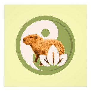 Foto Capybara Zen Yin Yang Naturaleza Pacífica