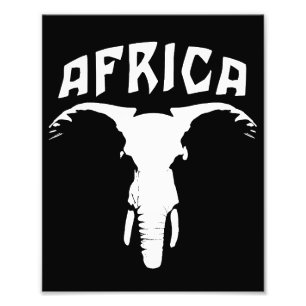 Foto Cara de elefante africano África