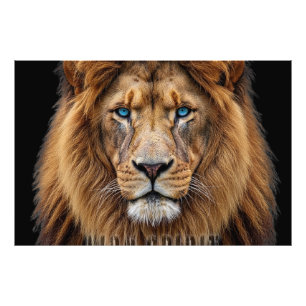 Foto Cara Majestuosa de León con Ojos Azules   Animal S
