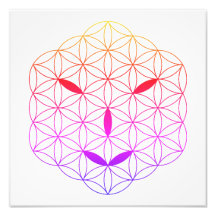 Cara sagrada - Arturia 02, CF-Tr.