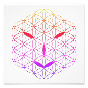 Foto Cara sagrada - Arturia 02, CF-Tr.