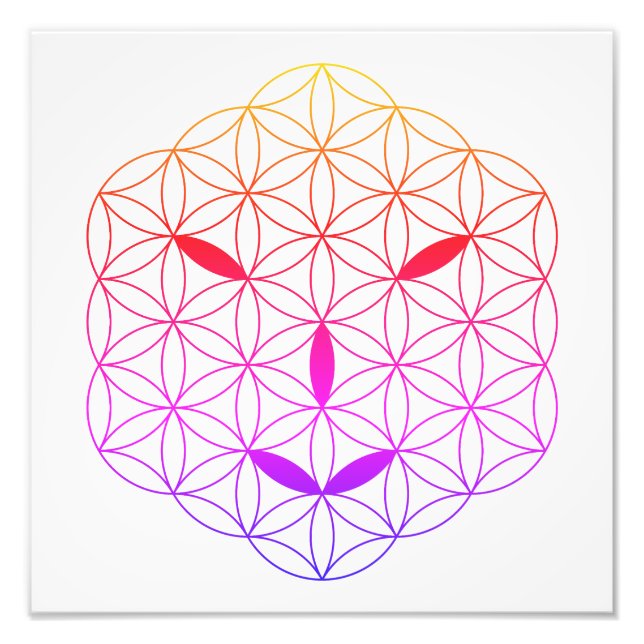 Foto Cara sagrada - Arturia 02, CF-Tr. (Frente)