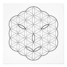 Foto Cara sagrada - Arturia, Bl-Tr.