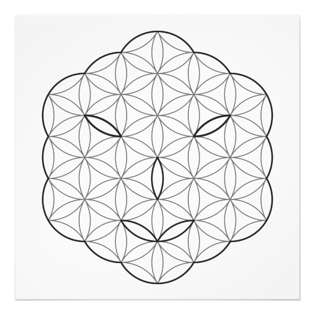 Foto Cara sagrada - Arturia, Bl-Tr. (Frente)