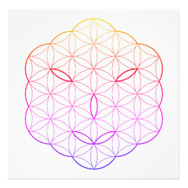 Foto Cara sagrada - Arturia, Cl-Tr.