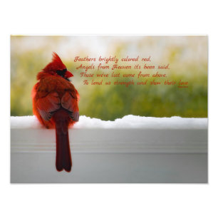 Foto Cardenal con el visitante del poema 16x12 del