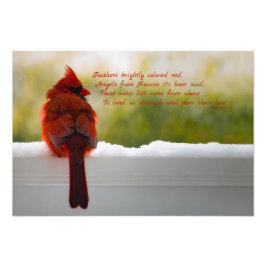 Foto Cardenal con visitante del cielo poema 19x13