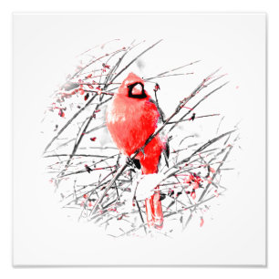 FOTO CARDENAL DE SEXO MASCULINO DEL INVIERNO