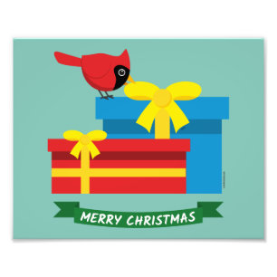 Foto Cardenal rojo curado abre un regalo azul