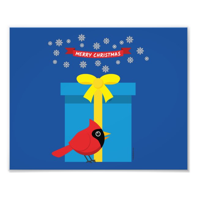 Foto Cardenal rojo curado con regalo azul (Frente)