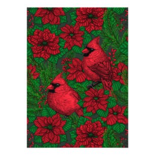 Foto Cardenales y poinsettia para Navidades