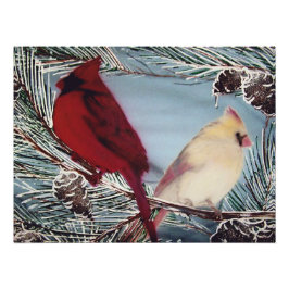 Foto Cardinals Perched