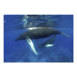 Foto Caribe, archipiélago de las Antillas Mayores,