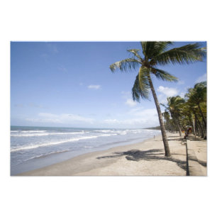 Foto Caribe - Trinidad - Playa Manzanilla el 2