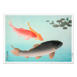 Foto Carpas comunes y doradas | Ohara Koson |