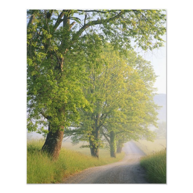 Foto Carretera cubierta de niebla, Cades Cove, Gran Smo (Frente)