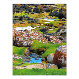 Foto Carretera gigante - Ver 2