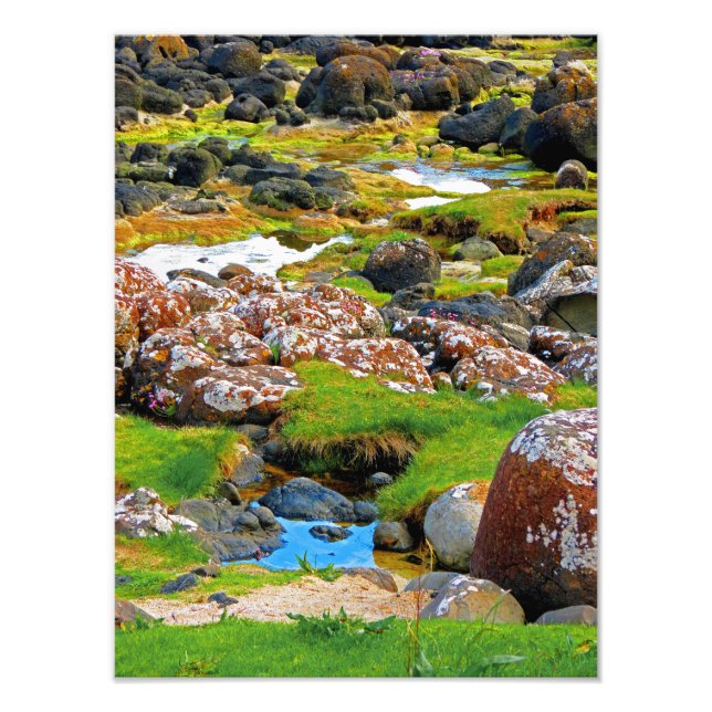 Foto Carretera gigante - Ver 2 (Frente)