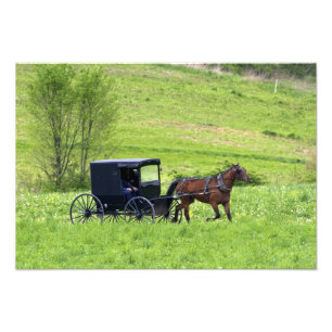 Foto Carro y caballo Amish cerca de Berlín, Ohio.