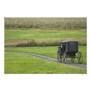 Foto Carruaje Amish en camino de granja, Ohio Nororient