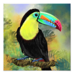 Foto Cartel de Pintura Acuarela de Pájaro Tucán Toco