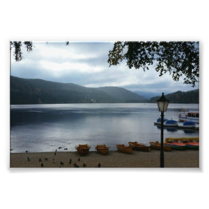 Foto Cartel del lago Titisee Alemania