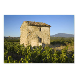 Foto Casa antigua en el Comtat Venaissin, Vaucluse,