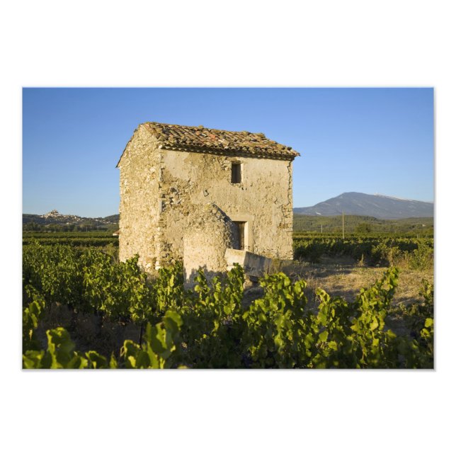 Foto Casa antigua en el Comtat Venaissin, Vaucluse, (Frente)