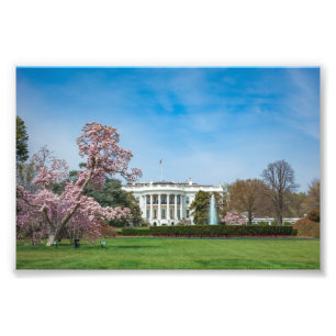 Foto Casa Blanca en primavera
