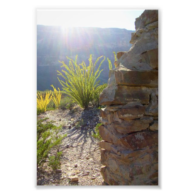 Foto Casa de adobe en ruinas, Parque Nacional Big Bend, (Frente)