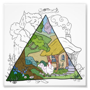 Foto Casa de gallina