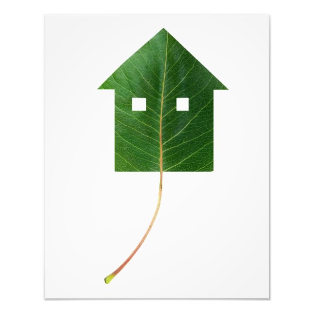 Foto Casa de la hoja (Frente)