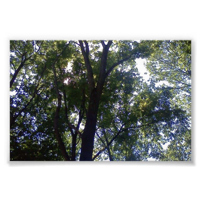 Foto Casa de los Elfos (Frente)