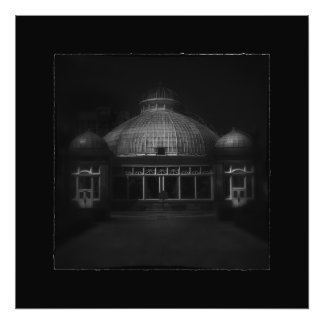 Foto Casa de Palmeras Conservatorio de Allan Gardens 7