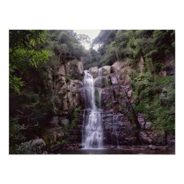 Foto Cascada Australiana (Frente)