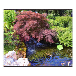 Foto Cascada del jardín japonés