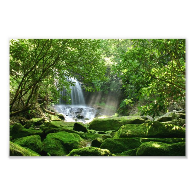 Foto Cascada en el bosque lluvioso (Frente)